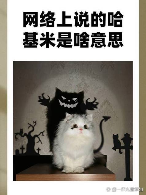 哈基米是啥意思