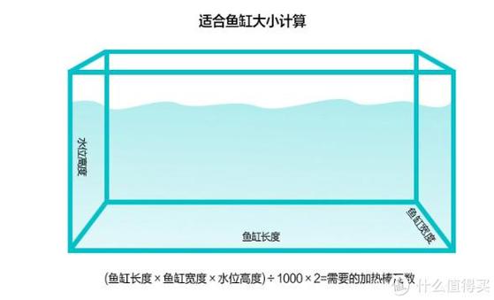 鱼缸养鱼数量计算