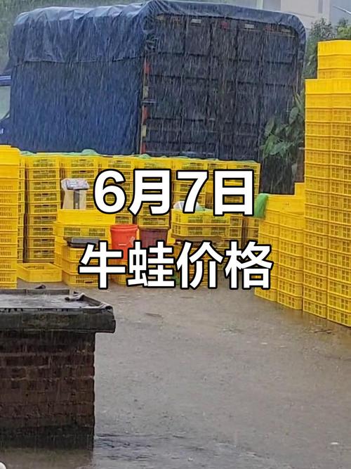 江西牛蛙批发价格行情