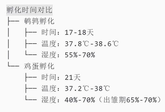 孵化小鸡需要多少天