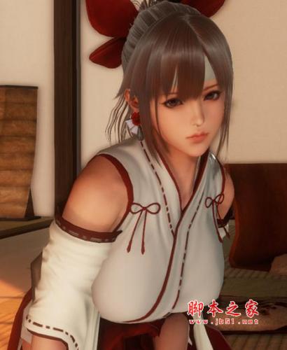 playhome真实补丁截图3