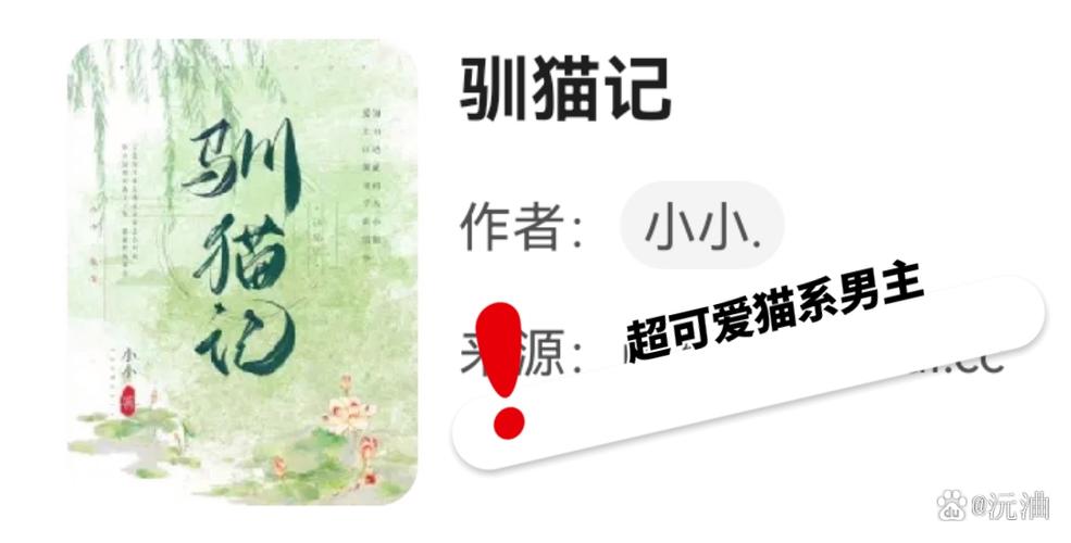 驯猫记小小第三十三