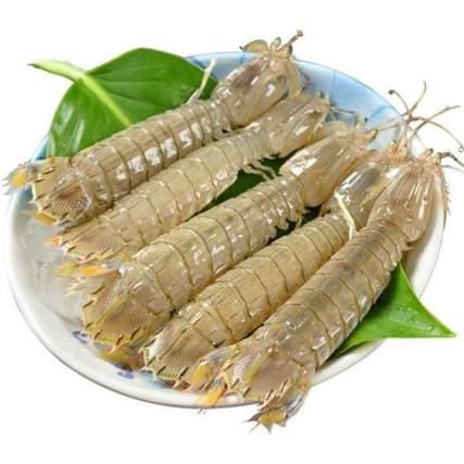 特大皮皮虾