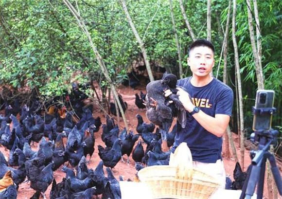 直播农家乐养动物