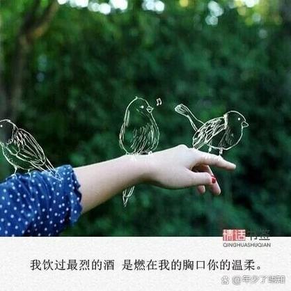 情深不及你相思归于烬