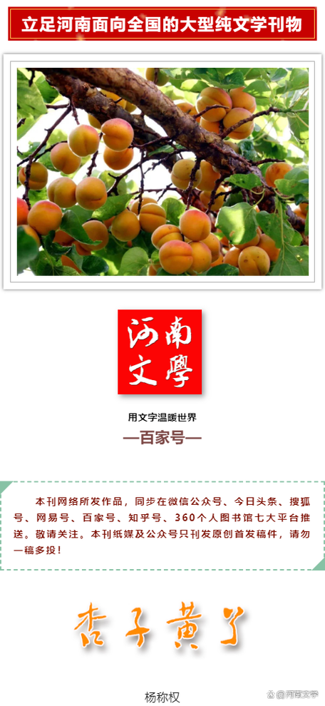 杏子文学