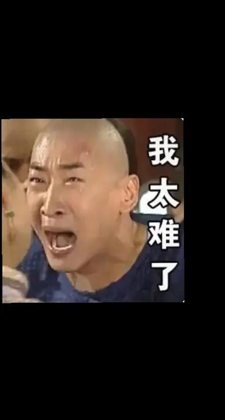 我太难了表情包抖音截图3