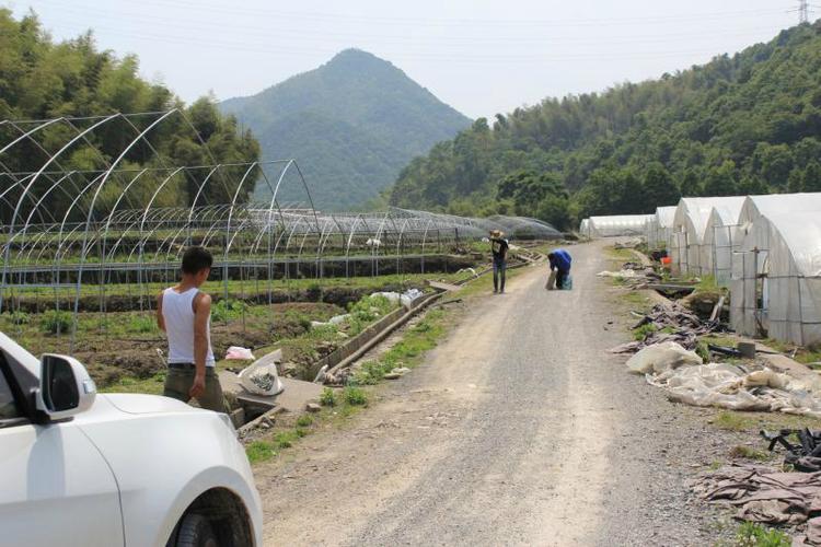 悠悠农场