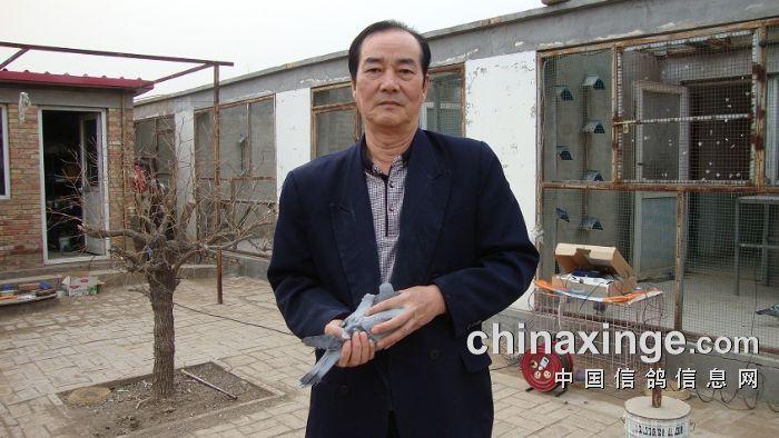 北京市振翔赛鸽俱乐部