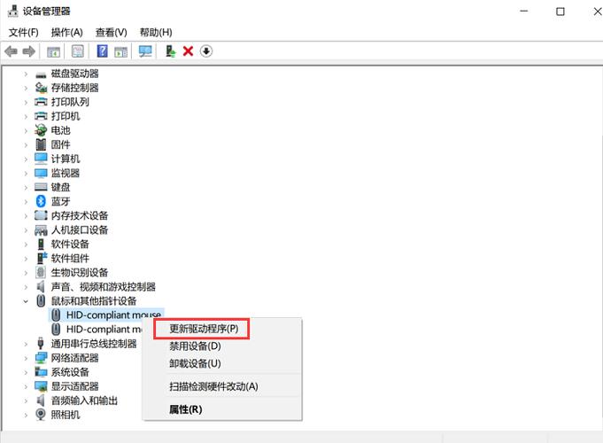 笔记本触摸板用不了了怎么回事
