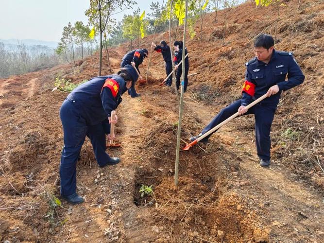 偷个警察带回家 植树