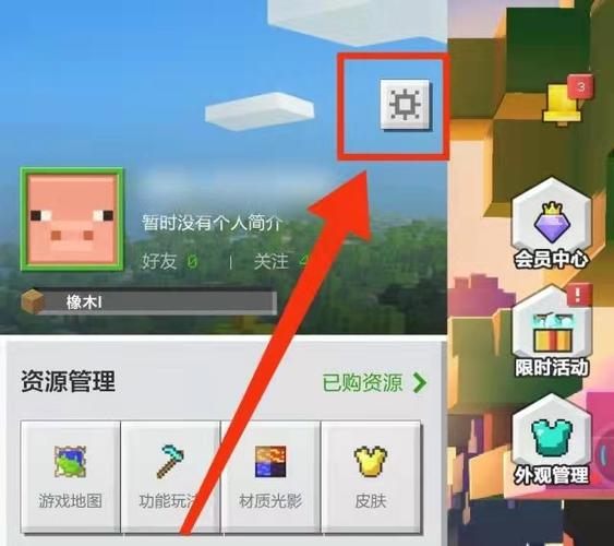 我的世界手机版怎么调画质的质量