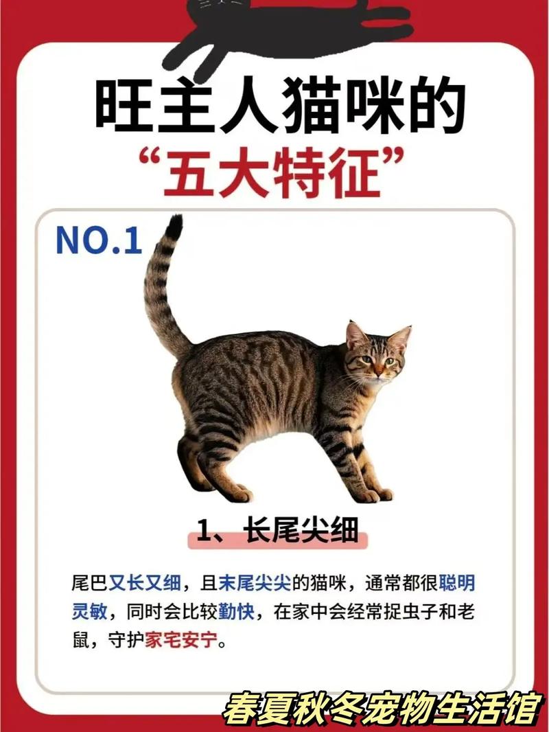 马会全年免ZOm49招财猫资料