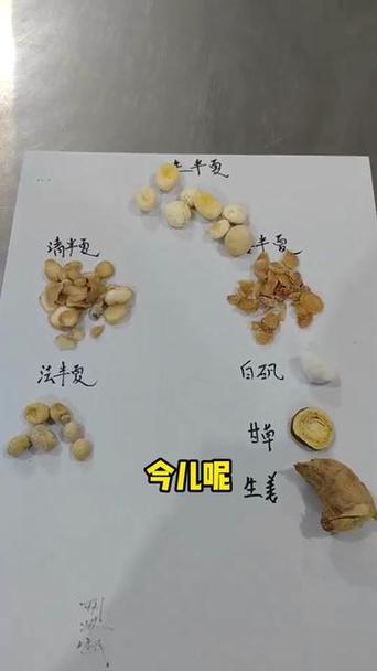 失眠用姜半夏还是法半夏