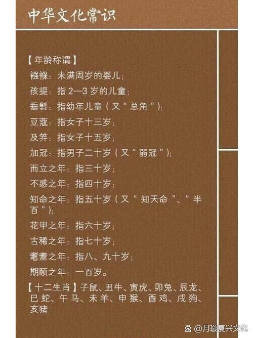 宝仪是什么意思截图2