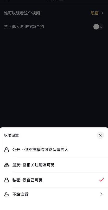 怎么把设为私密的说说公开