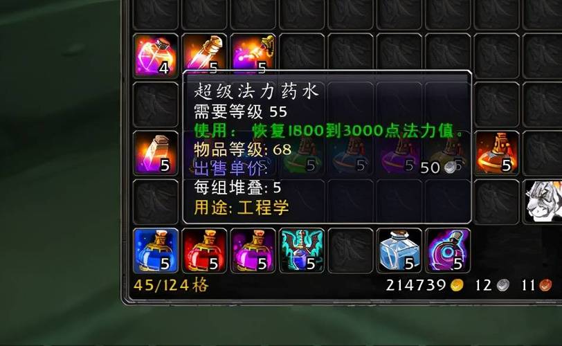 怀旧服60的法力药水截图3