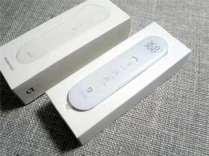 小米体温计哪个好截图1