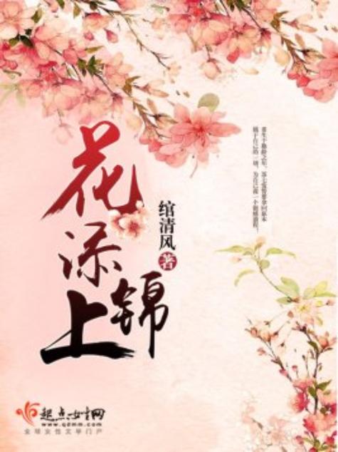 锦上添花最新版本更新内容