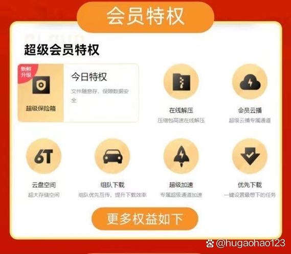 迅雷普通会员和超级会员截图2