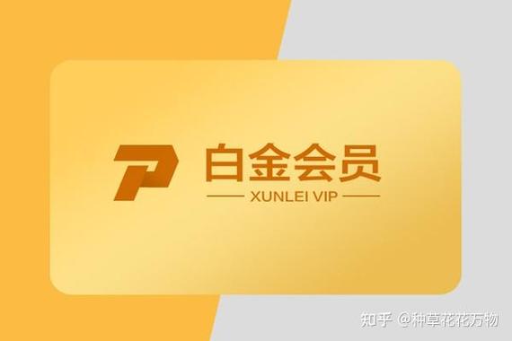 迅雷普通会员和超级会员截图3