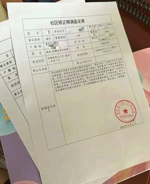 缓刑社区调查查什么