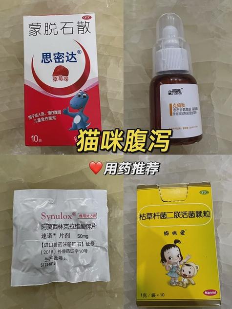 猫咪拉肚子怎么办