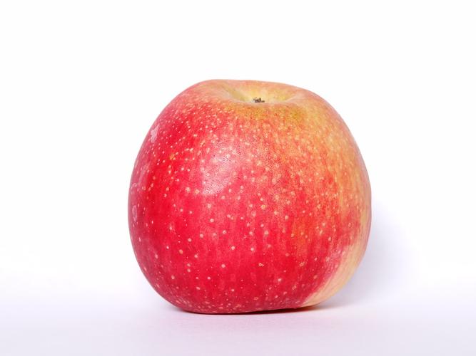 云岭先锋app安装苹果版