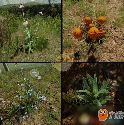 森林游戏怎么吃肉