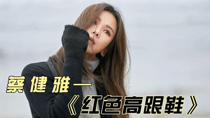 红色根跟鞋～是什么电视剧