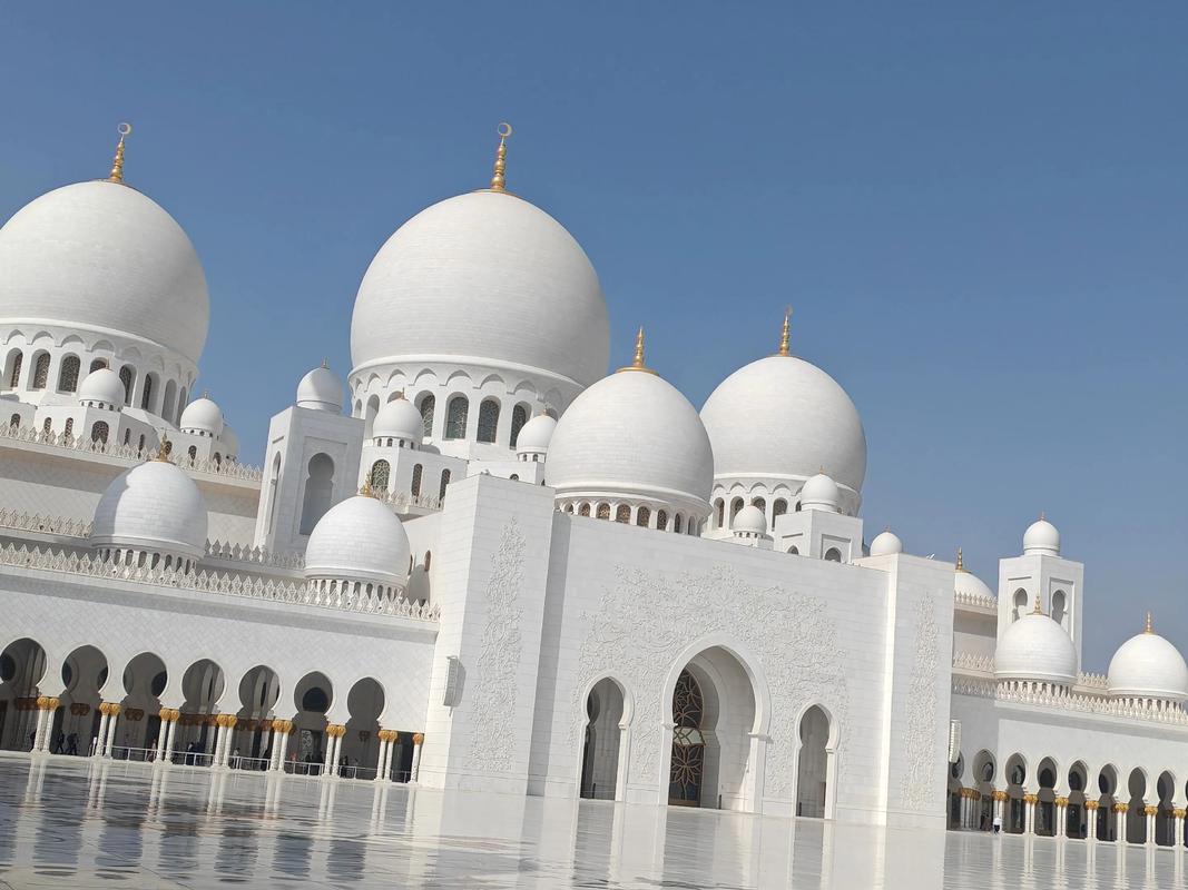 2026沙特杯ewc