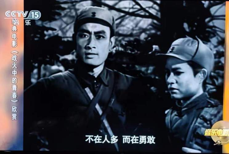 战火中青春在线阅读截图3