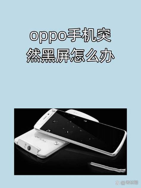 oppo手机黑屏后按电源键不亮屏截图2