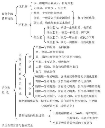 七年级下册生物知识点