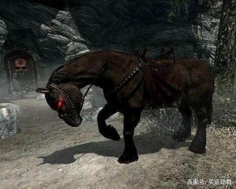 上古卷轴五过去的片段