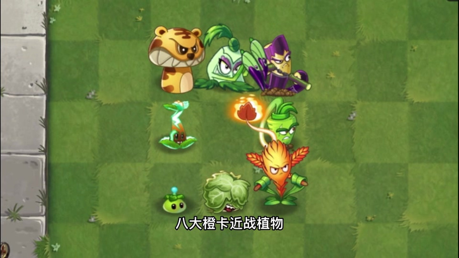 冰鼬用什么植物打