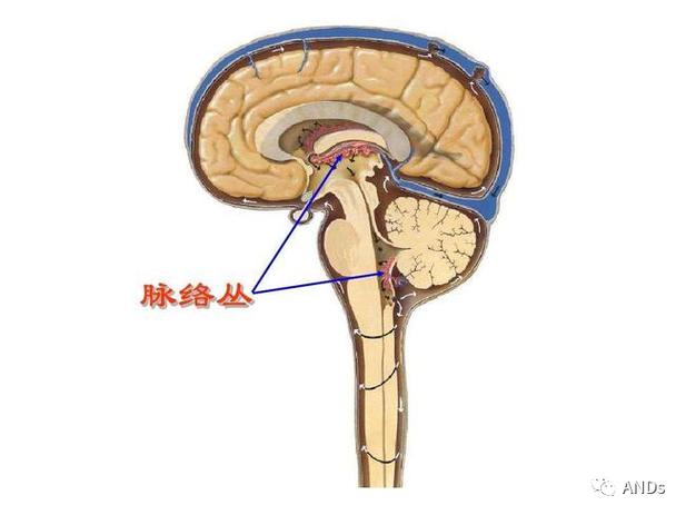 闲鱼很多卖家的位置不一致