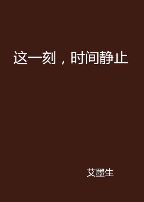 时间静止只有主角能动的小说