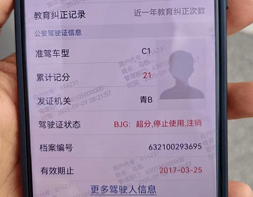 查一下我的驾照