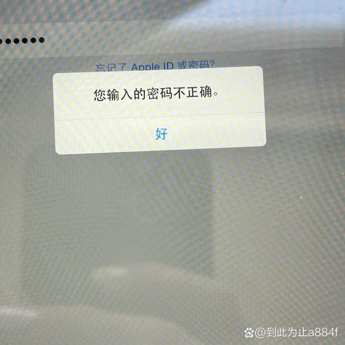 电脑登录密码字母输不上去