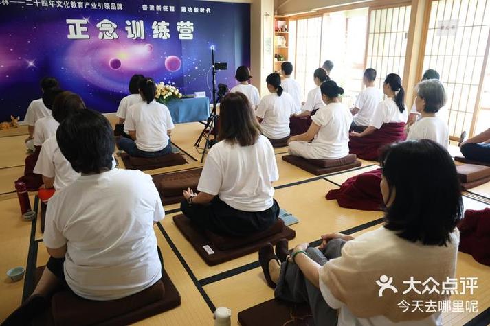 网上正念训练课29元是真的吗