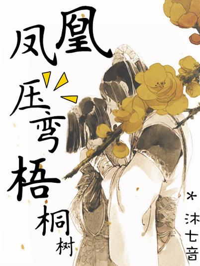 凤凰小说网官方