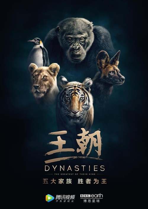 纪录片王朝国语版在线