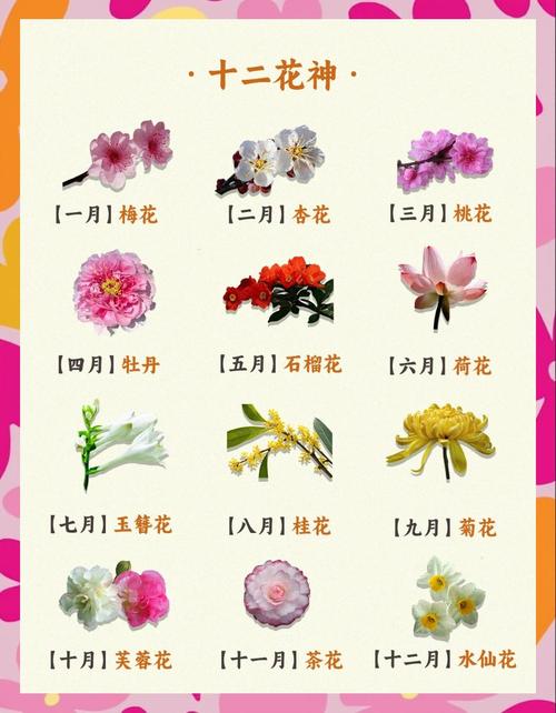 护花使者和护草先锋的区别