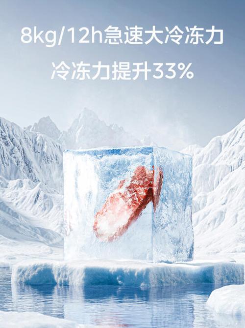 冰箱app破解版