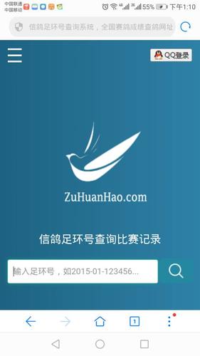 鸽子足环查询示意图