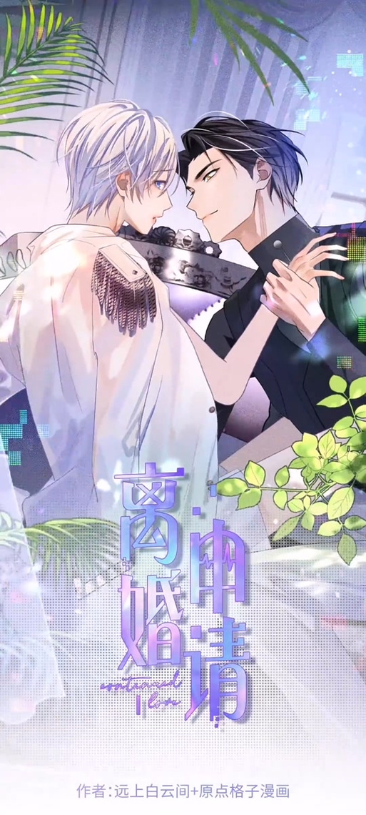 《离婚申请》漫画免费