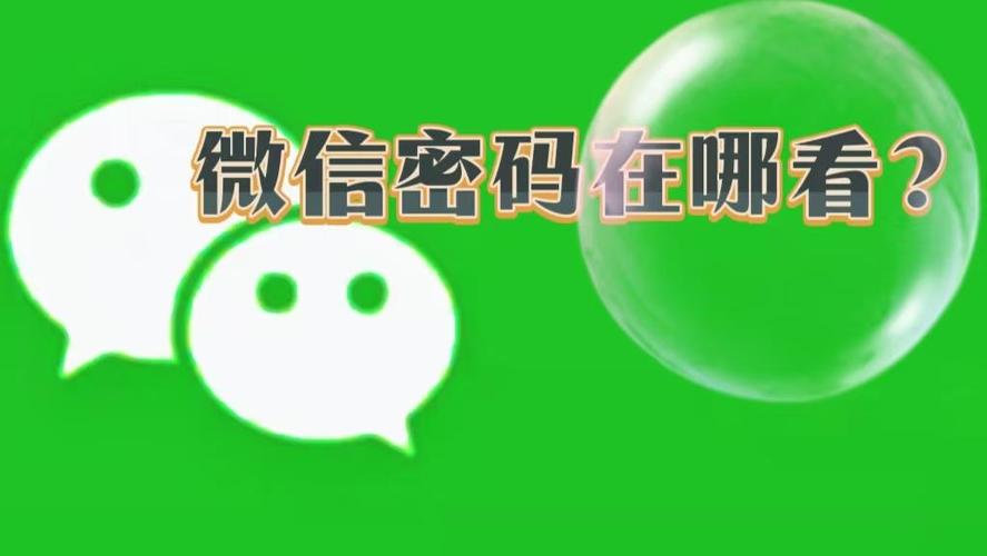 手机盾密码在哪看