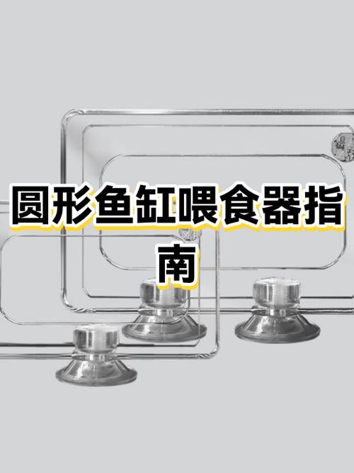 喂食器的正确使用方法
