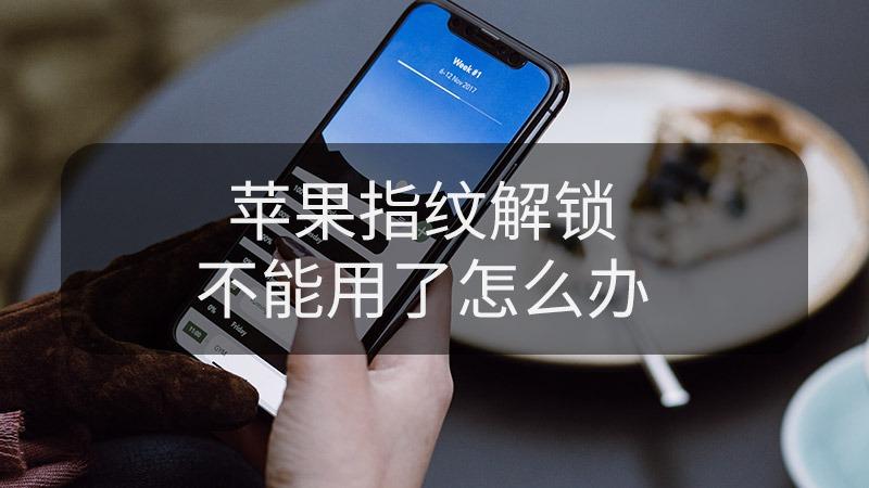 苹果指纹突然不能用了